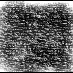 Meet your Posher, Shelby